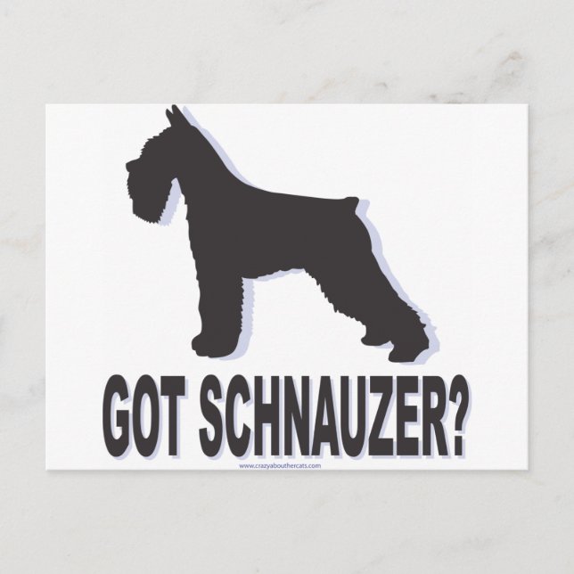 Postal ¿Tienes a Schnauzer? (Anverso)