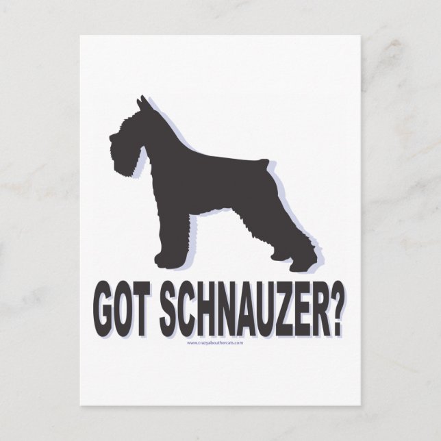 Postal ¿Tienes a Schnauzer? (Anverso)