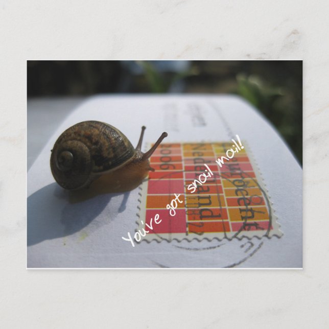 Postal tienes correo de caracol (Anverso)