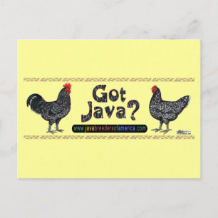 Postal ¿Tienes Java?