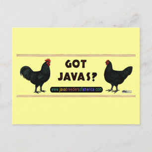 Postal ¿Tienes Javas?