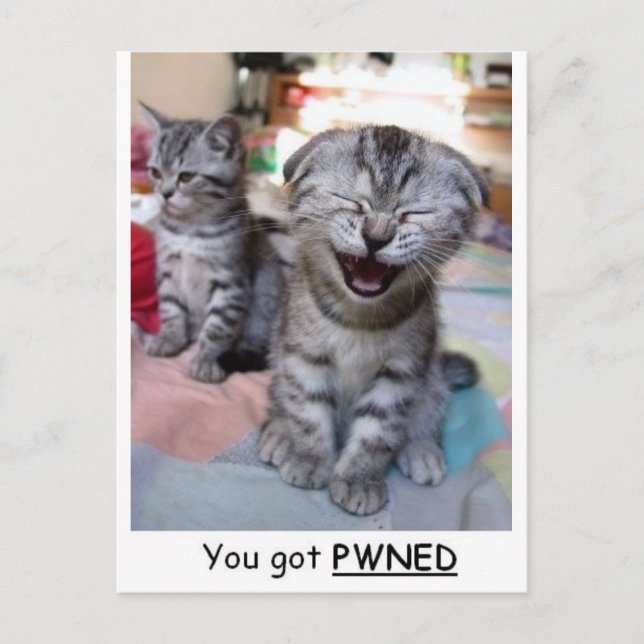 Postal Tienes PWNED (Anverso)