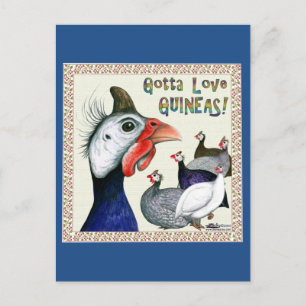 Postal ¡Tienes que amar a Guineas!