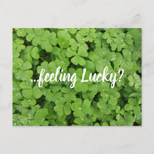 Postal ¿Tienes suerte? trébol verde 