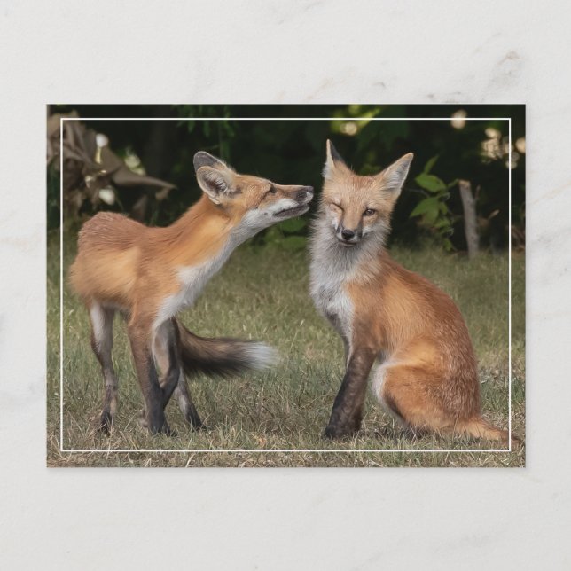 Postal ¿Tienes Una Moneda? (Anverso)