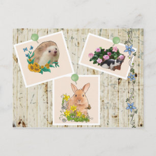 Postal Tiere im Busch