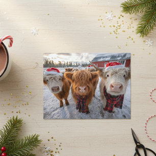 Postal Tiernas vacas Highland de Navidad en la nieve