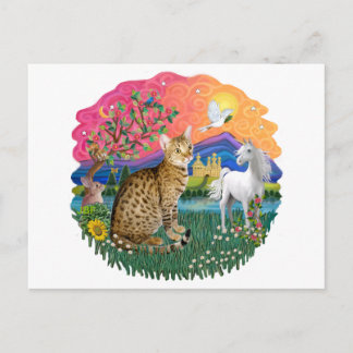 Postal Tierra de Fantasía (ff) - Ocicat