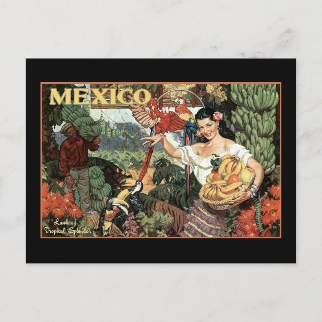 Postal tierra de méxico de esplendor tropical (Anverso)