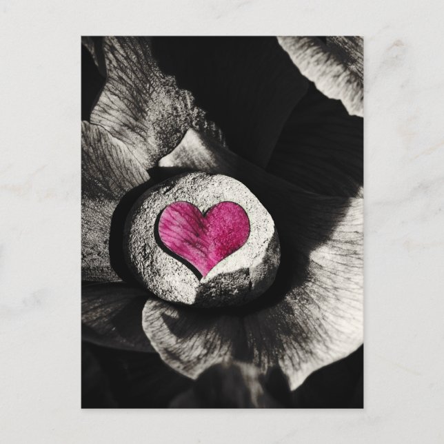 Postal Tierra de piedra y flores de peón (Anverso)