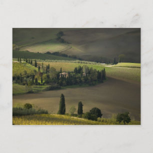 Postal Tierras agrícolas alrededor de Montepulciano, Tosc
