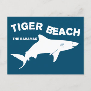 Postal Tiger Beach - Bahamas   Submarinismo con tiburones
