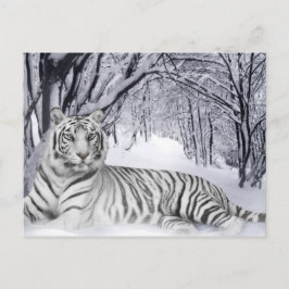 Postal Tíger blanco