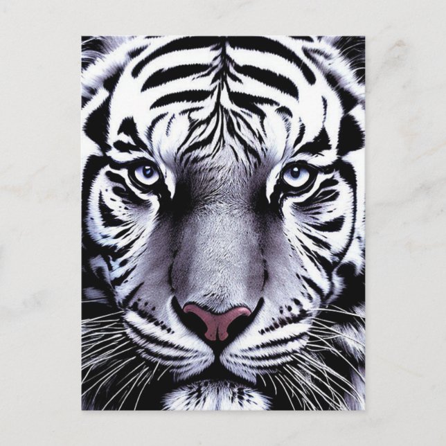 Postal Tiger face (Anverso)