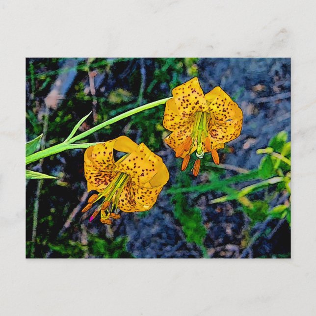 Postal Tiger Lily (Anverso)