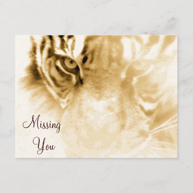 Postal ,Tiger Love_ (Anverso)