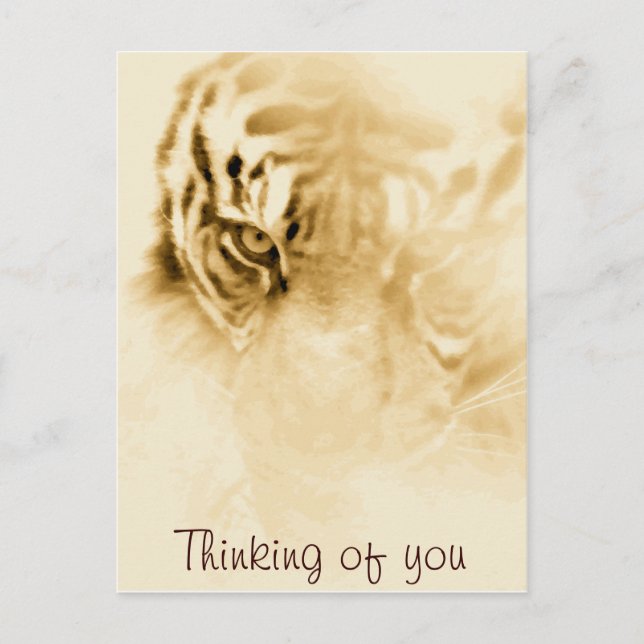 Postal ,Tiger Love_ (Anverso)