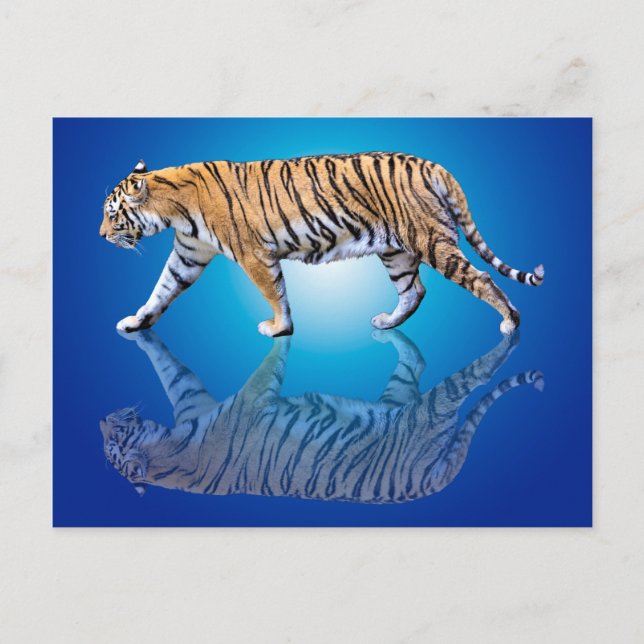 POSTAL TIGER REFLEJADO (Anverso)