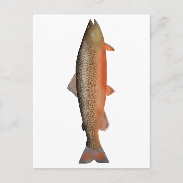 Postal Tiger Trout (Anverso)