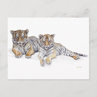 Postal tigercubs