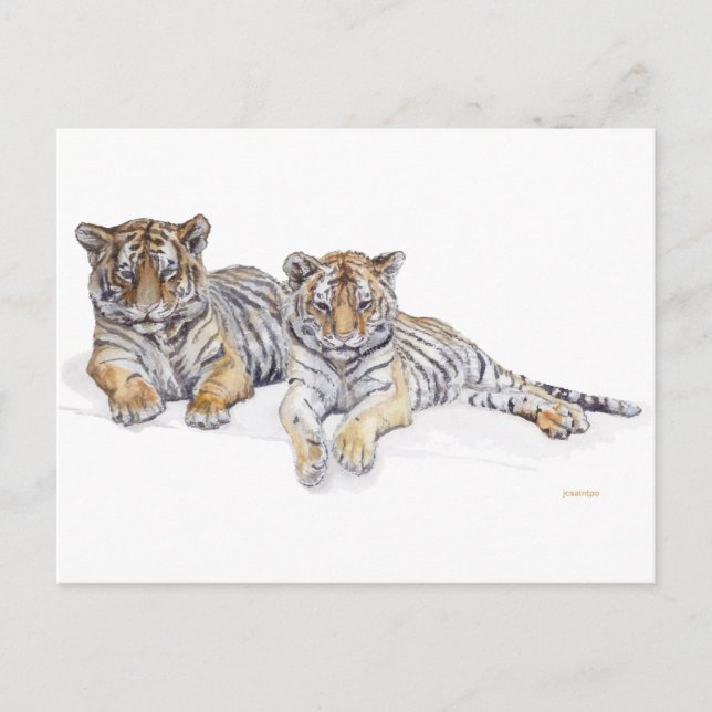 Postal tigercubs (Anverso)