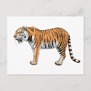 Postal Tigre