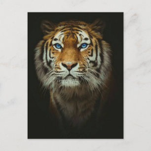 Postal Tigre