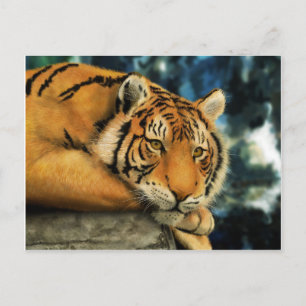 Postal Tigre