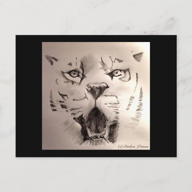 Postal Tigre (Anverso)