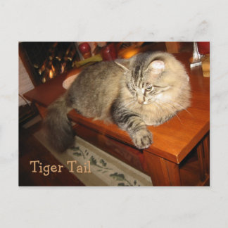 Postal Tigre