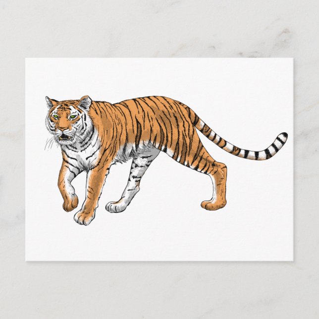 Postal Tigre 2 (Anverso)