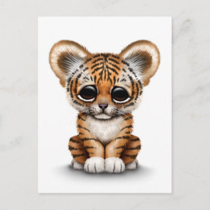 Postales Dibujo Animado Blanco Del Tigre Tarjetas Postales Zazzle Es