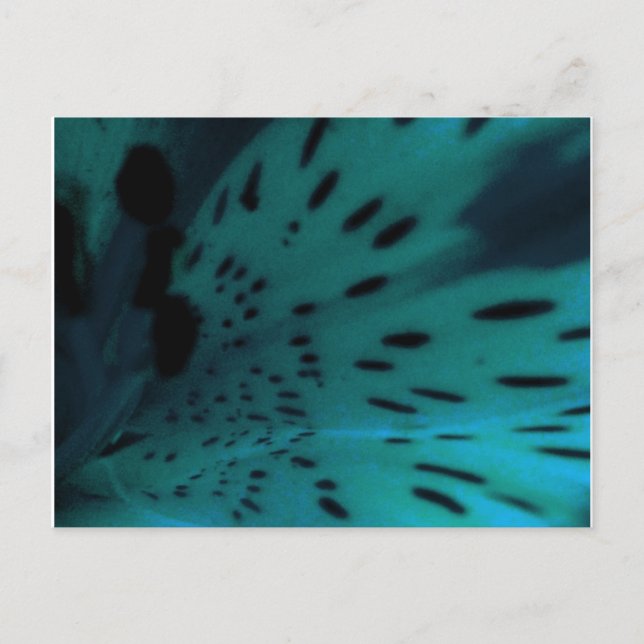 Postal Tigre azul (Anverso)