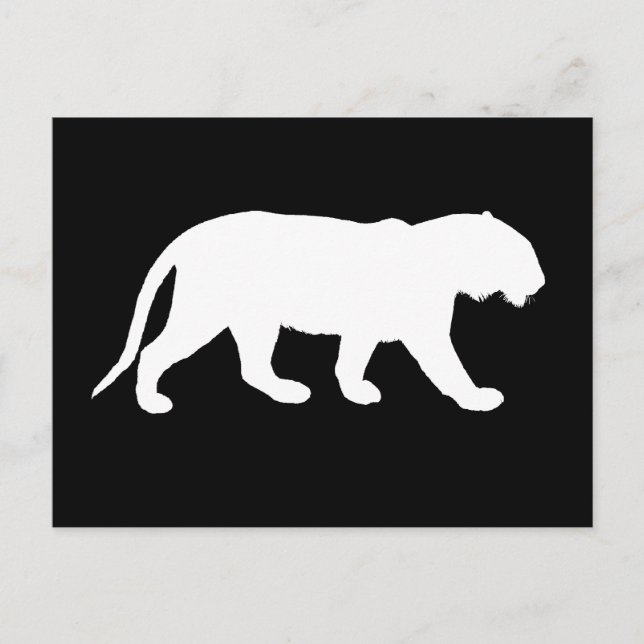 Postal Tigre blanco (Anverso)