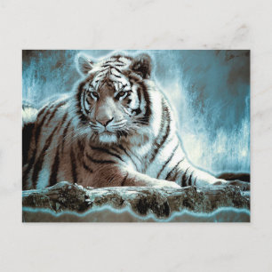 Postal Tigre blanco
