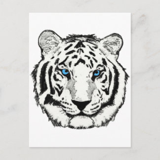 Postal tigre blanco