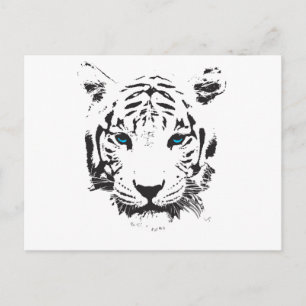 Postal Tigre Blanco con Ojos Azules