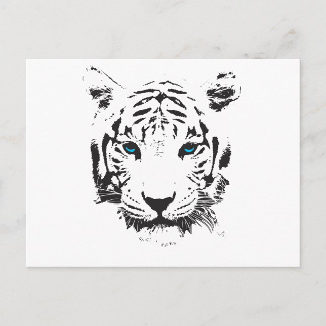 Postal Tigre Blanco con Ojos Azules (Anverso)