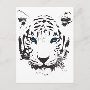Postal Tigre blanco con ojos azules