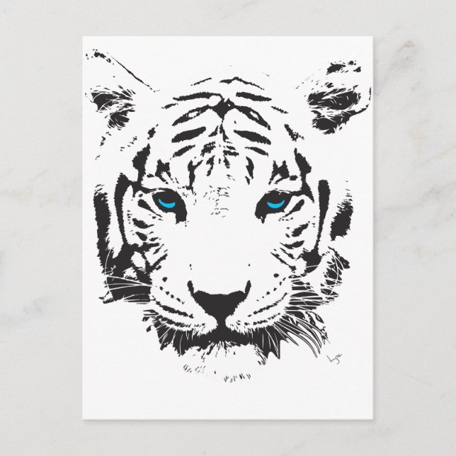Postal Tigre blanco con ojos azules (Anverso)