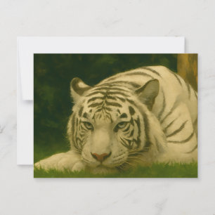 Postal Tigre blanco descansando en la sombra de Woodland