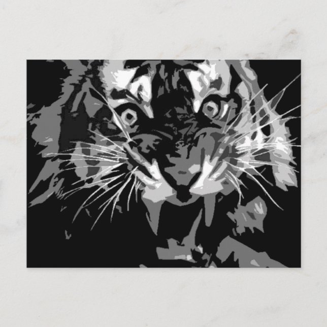 Postal Tigre blanco y negro (Anverso)