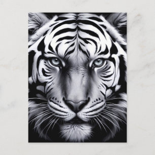 Postal tigre blanco y negro (actualización)
