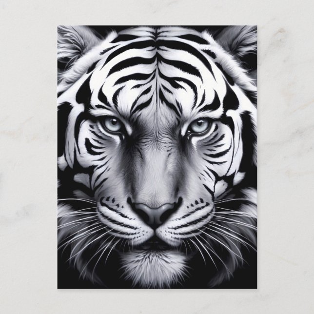 Postal tigre blanco y negro (actualización) (Anverso)