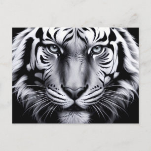 Postal tigre blanco y negro (actualización)