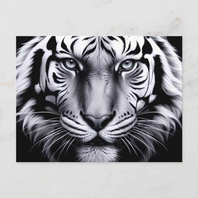 Postal tigre blanco y negro (actualización) (Anverso)