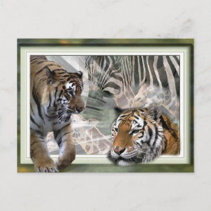 Postal Tigre, cebra, jirafa, amantes de los regalos