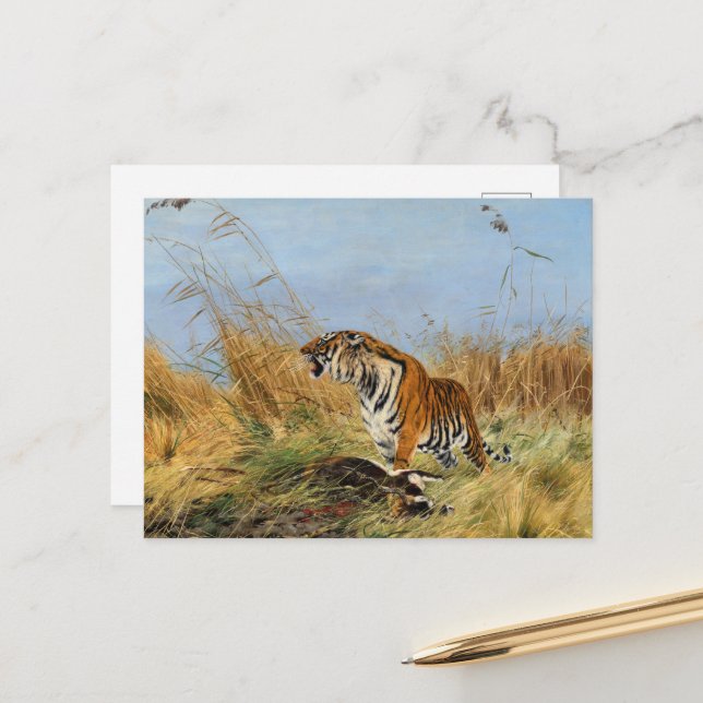 Postal Tigre con Waterbuck muerto por Richard Friese (Anverso/Reverso In Situ)