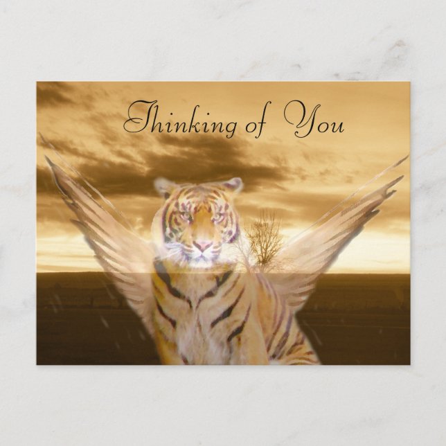 Postal Tigre de amor_ (Anverso)