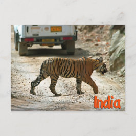 Postal Tigre de Bengala